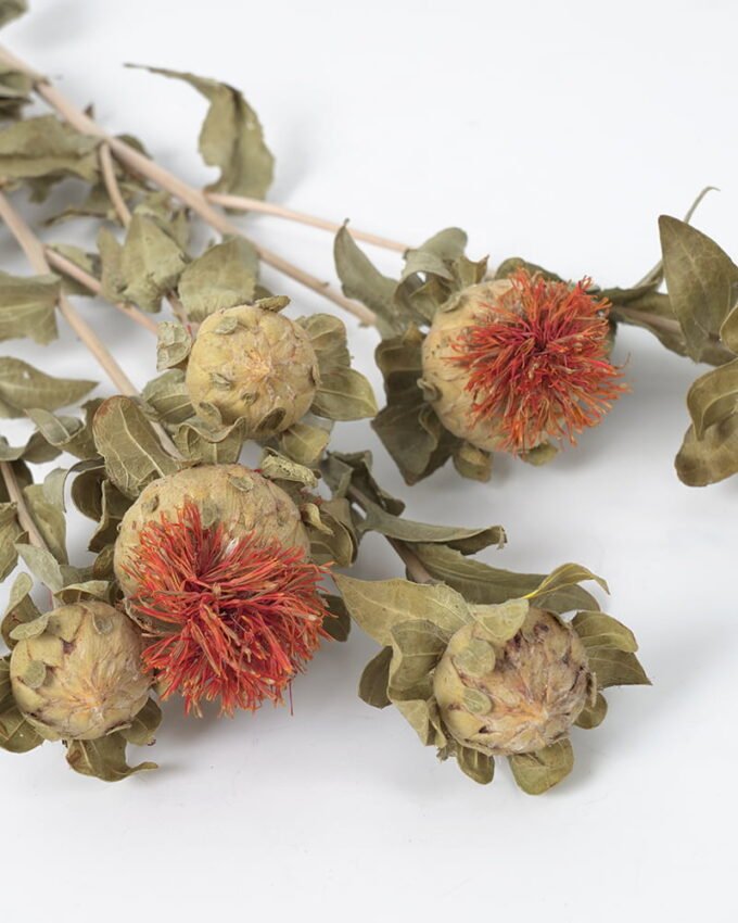 Dried Flowers 42*34.5*5.5CM Dried natural flower in box GS-56621060 Bouquet YeahFlower is one of Chinese leading OEM manufacturers and exporters , supplying the silk flowers, wholesale artificial trees