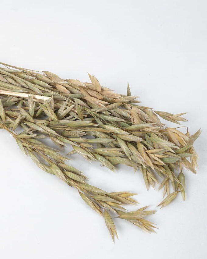 Dried Flowers 42*34.5*5.5CM Dried natural flower in box GS-56621060 Bouquet YeahFlower is one of Chinese leading OEM manufacturers and exporters , supplying the silk flowers, wholesale artificial trees