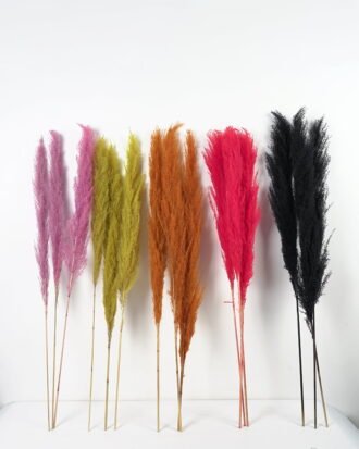 Dried Flowers 24*120CM Reed,3pc/bag(REMARK : standard : pcs not weight) GS-56619057CONTI-G1 Dried Flowers YeahFlower is one of Chinese leading OEM manufacturers and exporters , supplying the silk flowers, wholesale artificial trees Dried Flowers 24*120CM Reed,3pc/bag(REMARK : standard : pcs not weight) GS-56619057CONTI-G1 Dried Flowers YeahFlower is one of Chinese leading OEM manufacturers and exporters , supplying the silk flowers, wholesale artificial trees