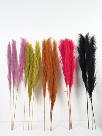 Dried Flowers 24*120CM Reed，3pc/bag(REMARK :  standard : pcs not weight) GS-56619057CONTI-H1 Single Flowers 3,000+ sqm showroom with thousands of artificial flowers, plants & trees ready for global sourcing.