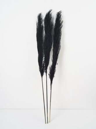 Dried Flowers 24*120CM Reed，3pc/bag(REMARK :  standard : pcs not weight) GS-56619057CONTI-G1 Dried Flowers 3,000+ sqm showroom with thousands of artificial flowers, plants & trees ready for global sourcing.
