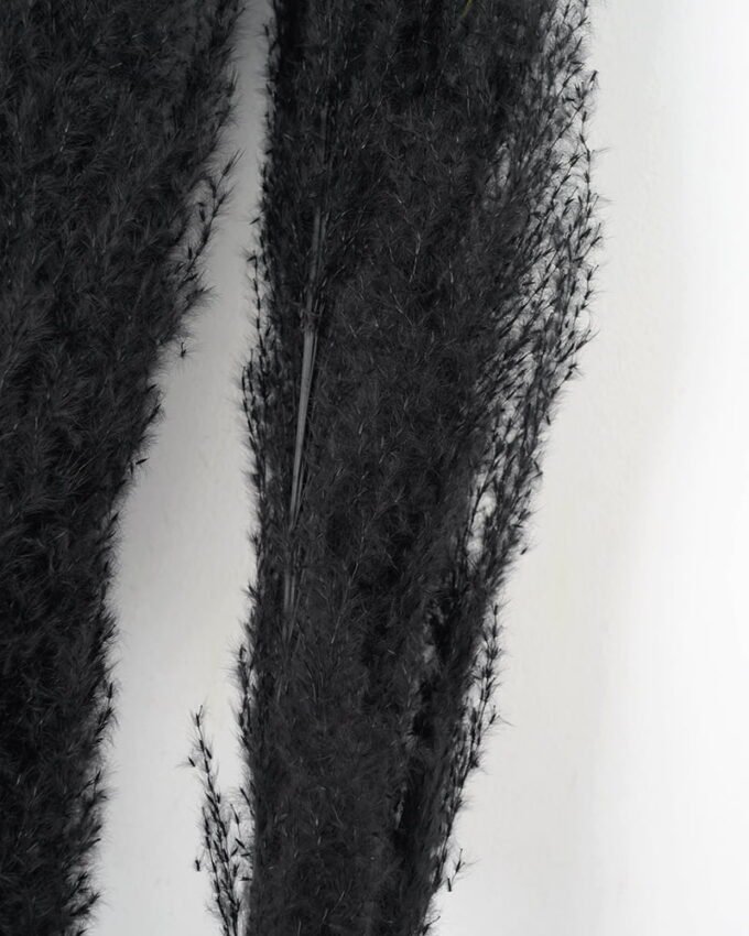 Dried Flowers 24*120CM Reed，3pc/bag(REMARK :  standard : pcs not weight) GS-56619057CONTI-H1 Single Flowers YeahFlower is one of Chinese leading OEM manufacturers and exporters , supplying the silk flowers, wholesale artificial trees