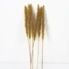 Dried Flowers Singel Reed 6 GS-56620039CONTI-G1_10 Dried Flowers 16*65CM Singel Reed*6 GS-56620039CONTI-G1 Dried Flowers YeahFlower is one of Chinese leading OEM manufacturers and exporters , supplying the silk flowers, wholesale artificial trees