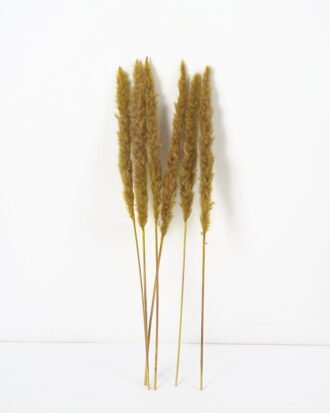Dried Flowers 16*65CM Singel Reed*6 GS-56620039CONTI-G1 Dried Flowers YeahFlower is one of Chinese leading OEM manufacturers and exporters , supplying the silk flowers, wholesale artificial trees Dried Flowers 16*65CM Singel Reed*6 GS-56620039CONTI-G1 Dried Flowers YeahFlower is one of Chinese leading OEM manufacturers and exporters , supplying the silk flowers, wholesale artificial trees