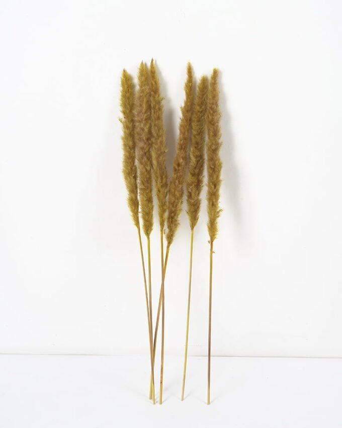 Dried Flowers Singel Reed 6 GS-56620039CONTI-G1_10 Dried Flowers 16*65CM Singel Reed*6 GS-56620039CONTI-G1 Dried Flowers YeahFlower is one of Chinese leading OEM manufacturers and exporters , supplying the silk flowers, wholesale artificial trees