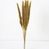 Dried Flowers Singel Reed 6 GS-56620039CONTI-G1_7 Dried Flowers 16*65CM Singel Reed*6 GS-56620039CONTI-G1 Dried Flowers YeahFlower is one of Chinese leading OEM manufacturers and exporters , supplying the silk flowers, wholesale artificial trees