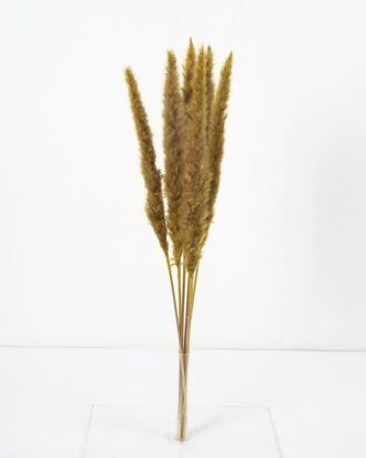 Dried Flowers 16*65CM Singel Reed*6 GS-56620039CONTI-G1 Dried Flowers YeahFlower is one of Chinese leading OEM manufacturers and exporters , supplying the silk flowers, wholesale artificial trees Dried Flowers 16*65CM Singel Reed*6 GS-56620039CONTI-G1 Dried Flowers YeahFlower is one of Chinese leading OEM manufacturers and exporters , supplying the silk flowers, wholesale artificial trees