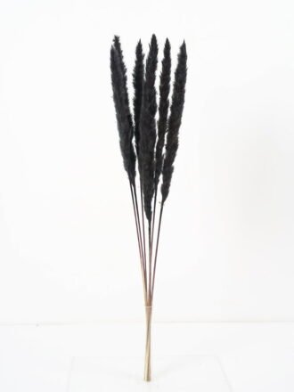 Dried Flowers 16*65CM Singel Reed*6 GS-56620039CONTI-G1 Dried Flowers 3,000+ sqm showroom with thousands of artificial flowers, plants & trees ready for global sourcing.
