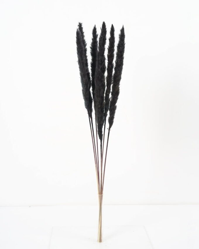 Dried Flowers Singel Reed 6 GS-56620039CONTI-H1_1 Dried Flowers 16*65CM Singel Reed*6 GS-56620039CONTI-H1 Dried Flowers YeahFlower is one of Chinese leading OEM manufacturers and exporters , supplying the silk flowers, wholesale artificial trees