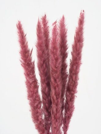 Dried Flowers 20*50CM Dried natural items bouquet with paper wrapped(90g/bouquet, H:50CM) GS-56621043 Bouquet 3,000+ sqm showroom with thousands of artificial flowers, plants & trees ready for global sourcing.