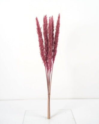 Dried Flowers 16*65CM Singel Reed*6 GS-56620039CONTI-Z1 Dried Flowers YeahFlower is one of Chinese leading OEM manufacturers and exporters , supplying the silk flowers, wholesale artificial trees Dried Flowers 16*65CM Singel Reed*6 GS-56620039CONTI-Z1 Dried Flowers YeahFlower is one of Chinese leading OEM manufacturers and exporters , supplying the silk flowers, wholesale artificial trees