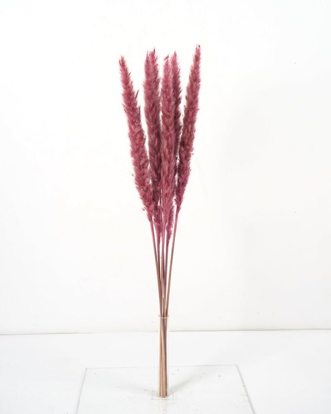 Dried Flowers 16*65CM Singel Reed*6 GS-56620039CONTI-Z1 Dried Flowers YeahFlower is one of Chinese leading OEM manufacturers and exporters , supplying the silk flowers, wholesale artificial trees