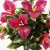 Artificial Flower Bougainvillea spectabilis bush 7 GS-05521020_7 Artificial Flower 21*34CM Bougainvillea spectabilis bush*7 GS-05521020 Flowers Bush YeahFlower is one of Chinese leading OEM manufacturers and exporters , supplying the silk flowers, wholesale artificial trees