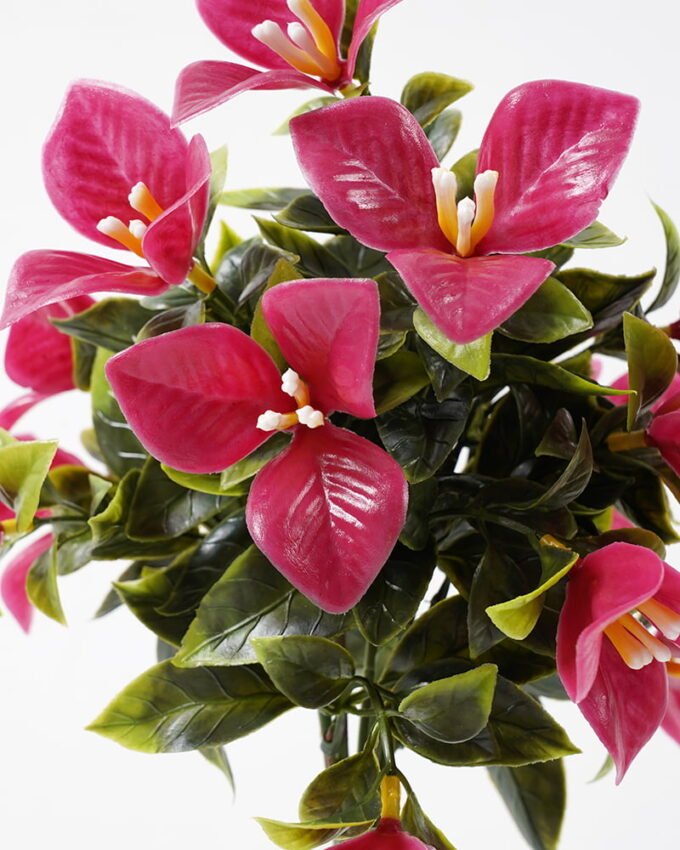 Artificial Flower Bougainvillea spectabilis bush 7 GS-05521020_7 Artificial Flower 21*34CM Bougainvillea spectabilis bush*7 GS-05521020 Flowers Bush YeahFlower is one of Chinese leading OEM manufacturers and exporters , supplying the silk flowers, wholesale artificial trees