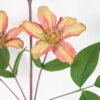 Artificial Flower Clematis florida thunb GS-14521003-O1_5 Artificial Flower 25*77CM Clematis florida thunb GS-14521003-O1 Single Flowers YeahFlower is one of Chinese leading OEM manufacturers and exporters , supplying the silk flowers, wholesale artificial trees