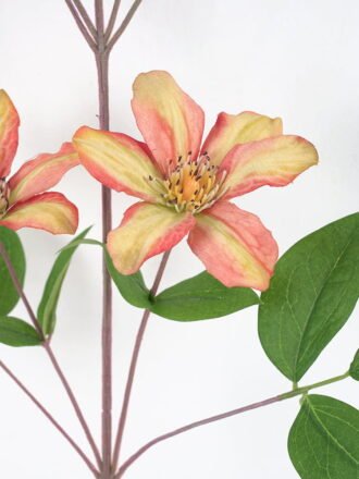 Artificial Flower 25*77CM Clematis florida thunb GS-14521003 Single Flowers 3,000+ sqm showroom with thousands of artificial flowers, plants & trees ready for global sourcing.
