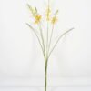 Artificial Flower 12*76CM Flame Lanza bundle*4 GVC-21-2755 Single Flowers YeahFlower is one of Chinese leading OEM manufacturers and exporters , supplying the silk flowers, wholesale artificial trees