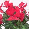 Artificial Flower GS-03320160-R1_8 Artificial Flower 23*23*29cm GS-03320160-R1 Potted Flowers&Plants YeahFlower is one of Chinese leading OEM manufacturers and exporters , supplying the silk flowers, wholesale artificial trees