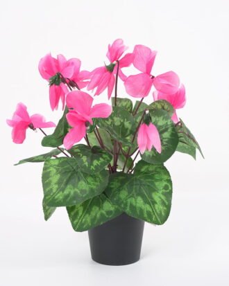 Artificial Flower 23*23*29cm GS-03320160 Potted Flowers&Plants YeahFlower is one of Chinese leading OEM manufacturers and exporters , supplying the silk flowers, wholesale artificial trees Artificial Flower 23*23*29cm GS-03320160 Potted Flowers&Plants YeahFlower is one of Chinese leading OEM manufacturers and exporters , supplying the silk flowers, wholesale artificial trees