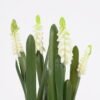Artificial Flower 14*26CM Hyacinths in pea pot GS-62921047-W1 Potted Flowers&Plants YeahFlower is one of Chinese leading OEM manufacturers and exporters , supplying the silk flowers, wholesale artificial trees