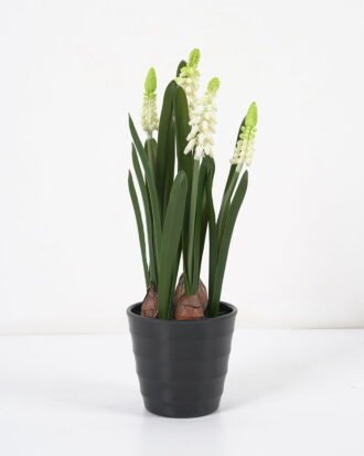 Artificial Flower 14*26CM Hyacinths in pot GS-62921047RB-W1 Potted Flowers&Plants YeahFlower is one of Chinese leading OEM manufacturers and exporters , supplying the silk flowers, wholesale artificial trees Artificial Flower 14*26CM Hyacinths in pot GS-62921047RB-W1 Potted Flowers&Plants YeahFlower is one of Chinese leading OEM manufacturers and exporters , supplying the silk flowers, wholesale artificial trees