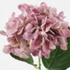 Artificial Flower 20*59CM Hydrangea rubra GVC-21-2753-P2 Single Flowers YeahFlower is one of Chinese leading OEM manufacturers and exporters , supplying the silk flowers, wholesale artificial trees