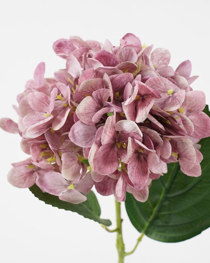 Artificial Flower 20*59CM Hydrangea rubra GVC-21-2753-P2 Single Flowers YeahFlower is one of Chinese leading OEM manufacturers and exporters , supplying the silk flowers, wholesale artificial trees