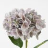 Artificial Flower 20*59CM Hydrangea rubra GVC-21-2753 Single Flowers YeahFlower is one of Chinese leading OEM manufacturers and exporters , supplying the silk flowers, wholesale artificial trees