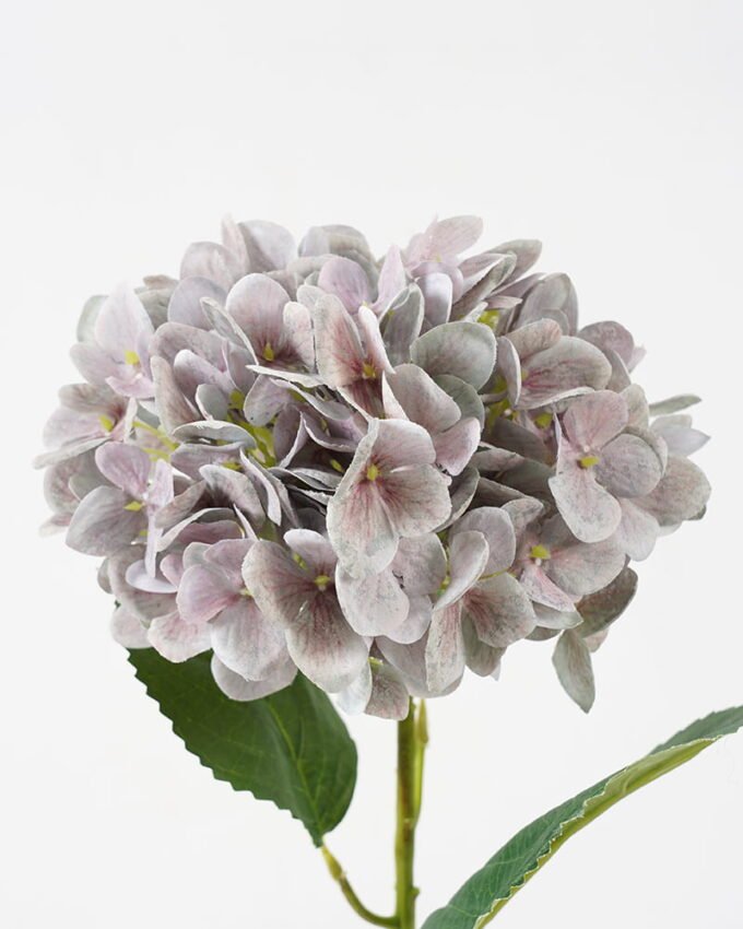 Artificial Flower 20*59CM Hydrangea rubra GVC-21-2753 Single Flowers YeahFlower is one of Chinese leading OEM manufacturers and exporters , supplying the silk flowers, wholesale artificial trees