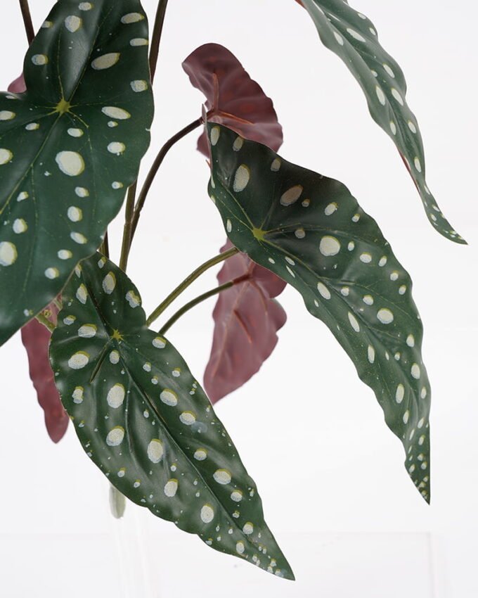 Artificial Flower 34*30*32cm Leaves bush*12/lvs12 GS-29821004 Single Flowers YeahFlower is one of Chinese leading OEM manufacturers and exporters , supplying the silk flowers, wholesale artificial trees