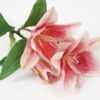Artificial Flower Lily spray 3 GS-05521034_5 Artificial Flower 25*57CM Lily spray*3 GS-05521034 Single Flowers YeahFlower is one of Chinese leading OEM manufacturers and exporters , supplying the silk flowers, wholesale artificial trees