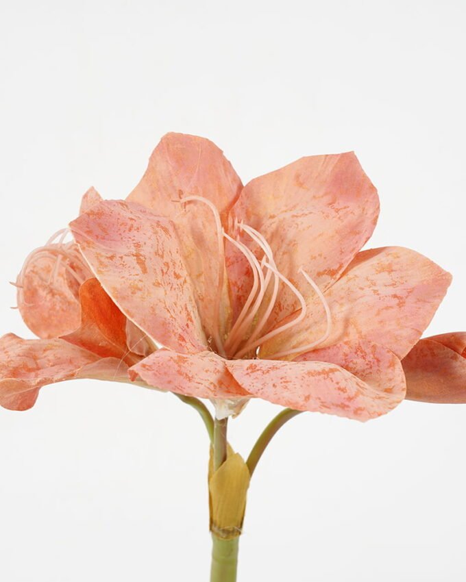Artificial Flower Little Clivia in snowflake cloth GVC-21-2784_3 Artificial Flower 14*59CM Little Clivia in snowflake cloth GVC-21-2784 Single Flowers YeahFlower is one of Chinese leading OEM manufacturers and exporters , supplying the silk flowers, wholesale artificial trees