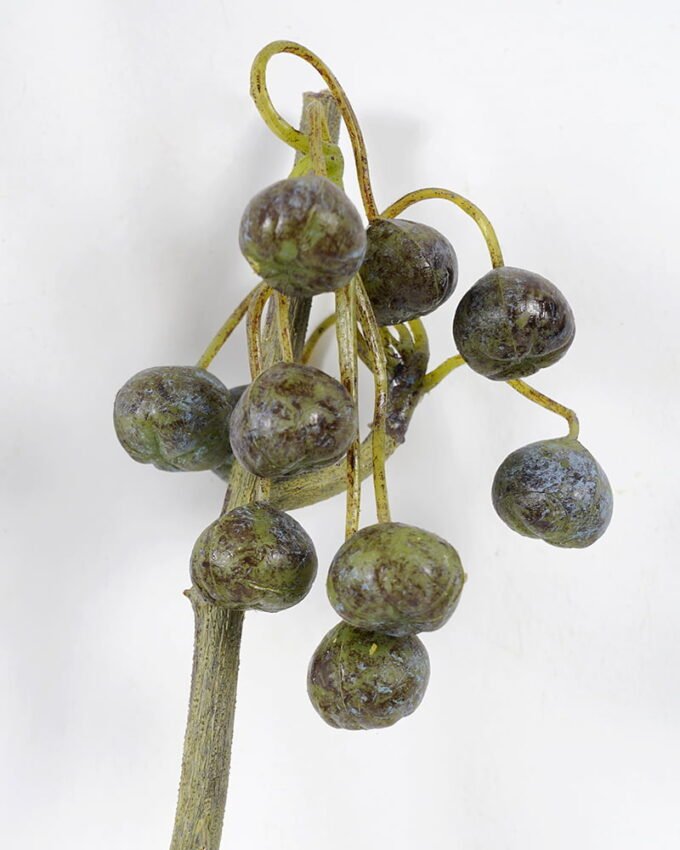 Artificial Flower Long cherry fruit 2 GVC-21-2801_2 Artificial Flower 22*107CM Long cherry fruit*2 GVC-21-2801 Single Flowers YeahFlower is one of Chinese leading OEM manufacturers and exporters , supplying the silk flowers, wholesale artificial trees