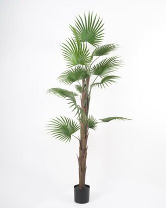 Artificial Flower 78*71*170cm Palm tree in pp pot GS-07221020