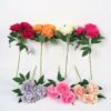 Artificial Flower 19*51CM Peony *3 GS-63921005CONTI Single Flowers YeahFlower is one of Chinese leading OEM manufacturers and exporters , supplying the silk flowers, wholesale artificial trees