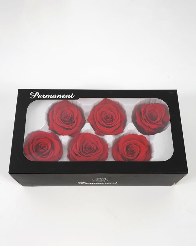 Artificial Flower Preserved Flower-A 5-6CM PC 6PC SET GS-56621024A-R1_2 Artificial Flower 23.5*12.7*8CM Preserved Flower-A(5-6CM/PC,6PC/SET) GS-56621024A-R1 Potted Flowers&Plants YeahFlower is one of Chinese leading OEM manufacturers and exporters , supplying the silk flowers, wholesale artificial trees