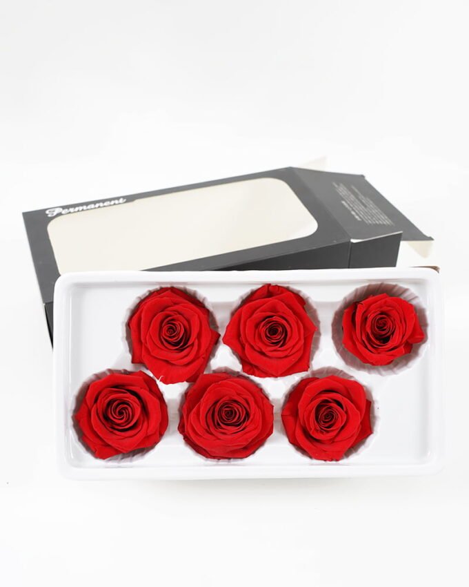 Artificial Flower Preserved Flower-A 5-6CM PC 6PC SET GS-56621024A-R1_3 Artificial Flower 23.5*12.7*8CM Preserved Flower-A(5-6CM/PC,6PC/SET) GS-56621024A-R1 Potted Flowers&Plants YeahFlower is one of Chinese leading OEM manufacturers and exporters , supplying the silk flowers, wholesale artificial trees