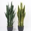 Artificial Flower 33*36*91CM Sansevieria in pp pot/lvs29 GS-59521062 Potted Flowers&Plants YeahFlower is one of Chinese leading OEM manufacturers and exporters , supplying the silk flowers, wholesale artificial trees