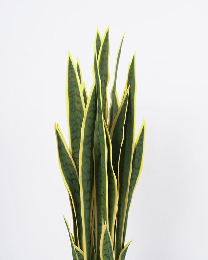 Artificial Flower 33*36*91CM Sansevieria in pp pot/lvs29 GS-59521062 Potted Flowers&Plants YeahFlower is one of Chinese leading OEM manufacturers and exporters , supplying the silk flowers, wholesale artificial trees