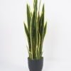 Artificial Flower 33*36*91CM Sansevieria in pp pot/lvs29 GS-59521062 Potted Flowers&Plants YeahFlower is one of Chinese leading OEM manufacturers and exporters , supplying the silk flowers, wholesale artificial trees