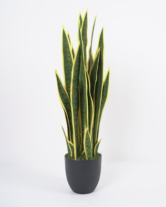 Artificial Flower 33*36*91CM Sansevieria in pp pot/lvs29 GS-59521062 Potted Flowers&Plants YeahFlower is one of Chinese leading OEM manufacturers and exporters , supplying the silk flowers, wholesale artificial trees