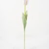 Artificial Flower Single tulip real touch GS-39119018CONTI-P3_5 Artificial Flower 6*68cm Single tulip(real touch) GS-39119018CONTI-P3 Single Flowers YeahFlower is one of Chinese leading OEM manufacturers and exporters , supplying the silk flowers, wholesale artificial trees