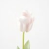 Artificial Flower Single tulip real touch GS-39119018CONTI-P3_6 Artificial Flower 6*68cm Single tulip(real touch) GS-39119018CONTI-P3 Single Flowers YeahFlower is one of Chinese leading OEM manufacturers and exporters , supplying the silk flowers, wholesale artificial trees