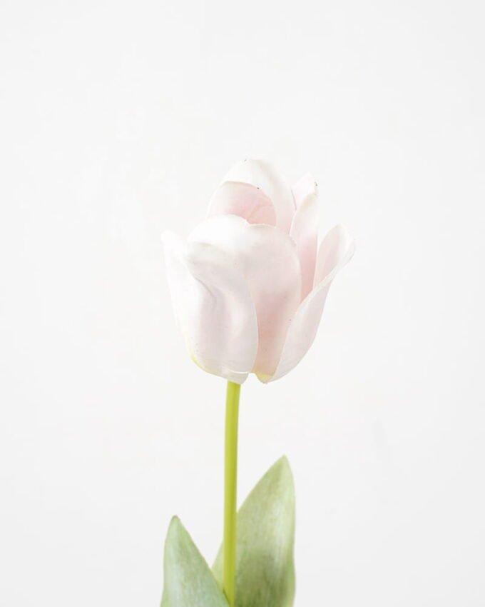 Artificial Flower Single tulip real touch GS-39119018CONTI-P3_6 Artificial Flower 6*68cm Single tulip(real touch) GS-39119018CONTI-P3 Single Flowers YeahFlower is one of Chinese leading OEM manufacturers and exporters , supplying the silk flowers, wholesale artificial trees