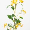 Artificial Flower 21*108CM Sophora longibractyloides GVC-21-2767 Single Flowers YeahFlower is one of Chinese leading OEM manufacturers and exporters , supplying the silk flowers, wholesale artificial trees
