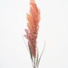 Artificial Flower Sorghum GS-49621001-O1_8 Artificial Flower 9*64CM Sorghum GS-49621001-O1 Single Flowers YeahFlower is one of Chinese leading OEM manufacturers and exporters , supplying the silk flowers, wholesale artificial trees
