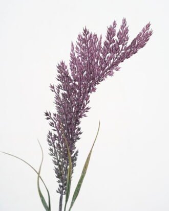 Artificial Flower 9*64CM Sorghum GS-49621001-Z1 Single Flowers YeahFlower is one of Chinese leading OEM manufacturers and exporters , supplying the silk flowers, wholesale artificial trees