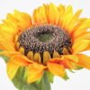 Artificial Flower Sunflower GS-63721001_8 Artificial Flower 13*67CM Sunflower GS-63721001 Single Flowers YeahFlower is one of Chinese leading OEM manufacturers and exporters , supplying the silk flowers, wholesale artificial trees