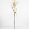 Artificial reeds flowers BUSH  fake Dried flowers 16*120cm Faux reeds*3 Bonsai Plants for Indoor decorations GS-63621001AL Single Flowers YeahFlower is one of Chinese leading OEM manufacturers and exporters , supplying the silk flowers, wholesale artificial trees