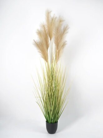 Artificial Grass 55*55*98CM Reeds*5 in pp pot GS-45721010 Grass&PLANT 3,000+ sqm showroom with thousands of artificial flowers, plants & trees ready for global sourcing.